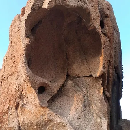 Ginepro * San Vito (Sardinia)